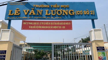 thi-cong-luoi-che-nang-th-le-van-luong